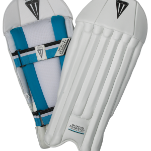 F-TEC Wicket Keeping Pads